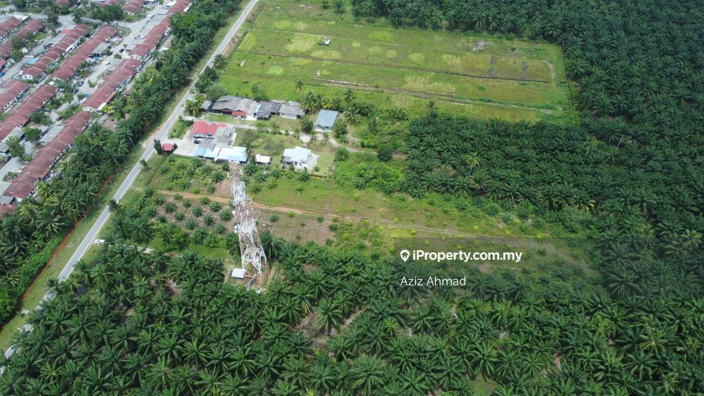 Agricultural Land for Sale in Bagan Lalang, Sepang by Aziz Ahmad - iProperty.com.my
