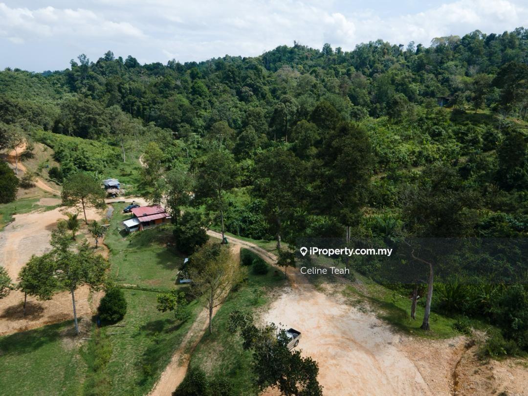 Agricultural Land for Sale in Papar Fruits Farm, Papar by Celine Teah - iProperty.com.my