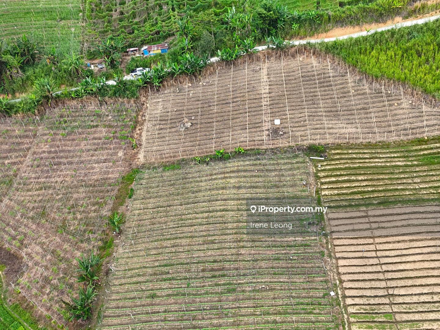 Tanah Pertanian untuk Dijual di Bukit Tinggi, Bentong oleh Irene Leong - iProperty.com.my