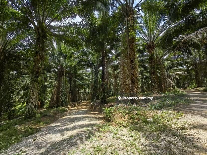Agricultural Land for Sale in Taman Jelebu, Kuala Klawang by Vincent Tee - iProperty.com.my