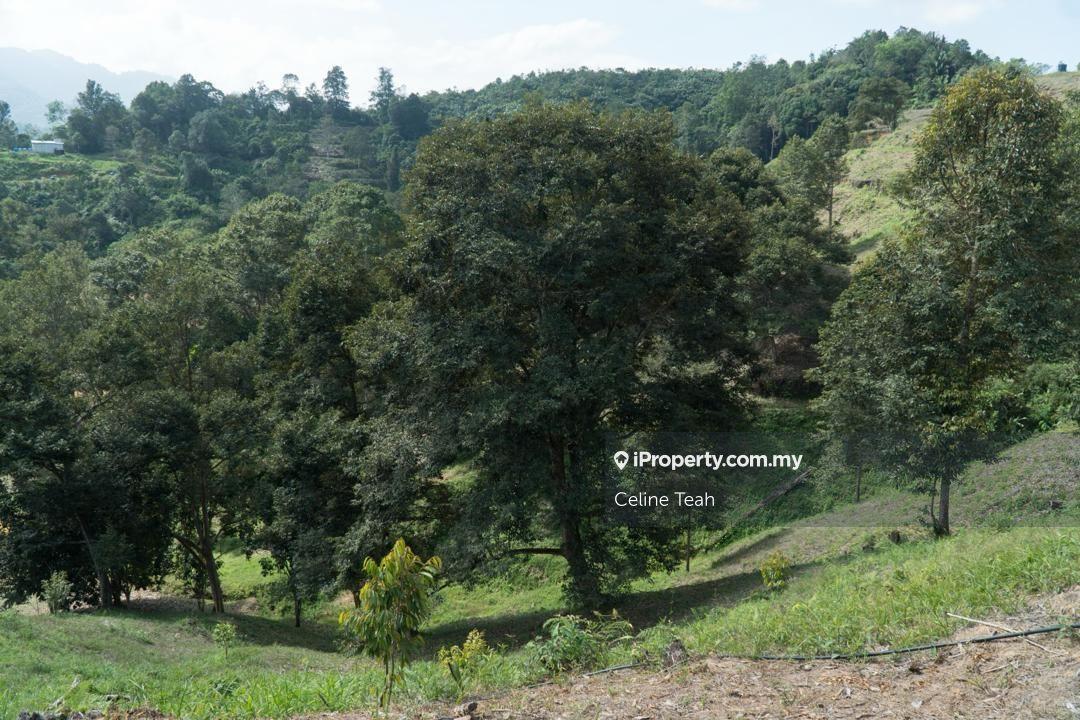 Agricultural Land for Sale in Papar Fruits Farm, Papar by Celine Teah - iProperty.com.my