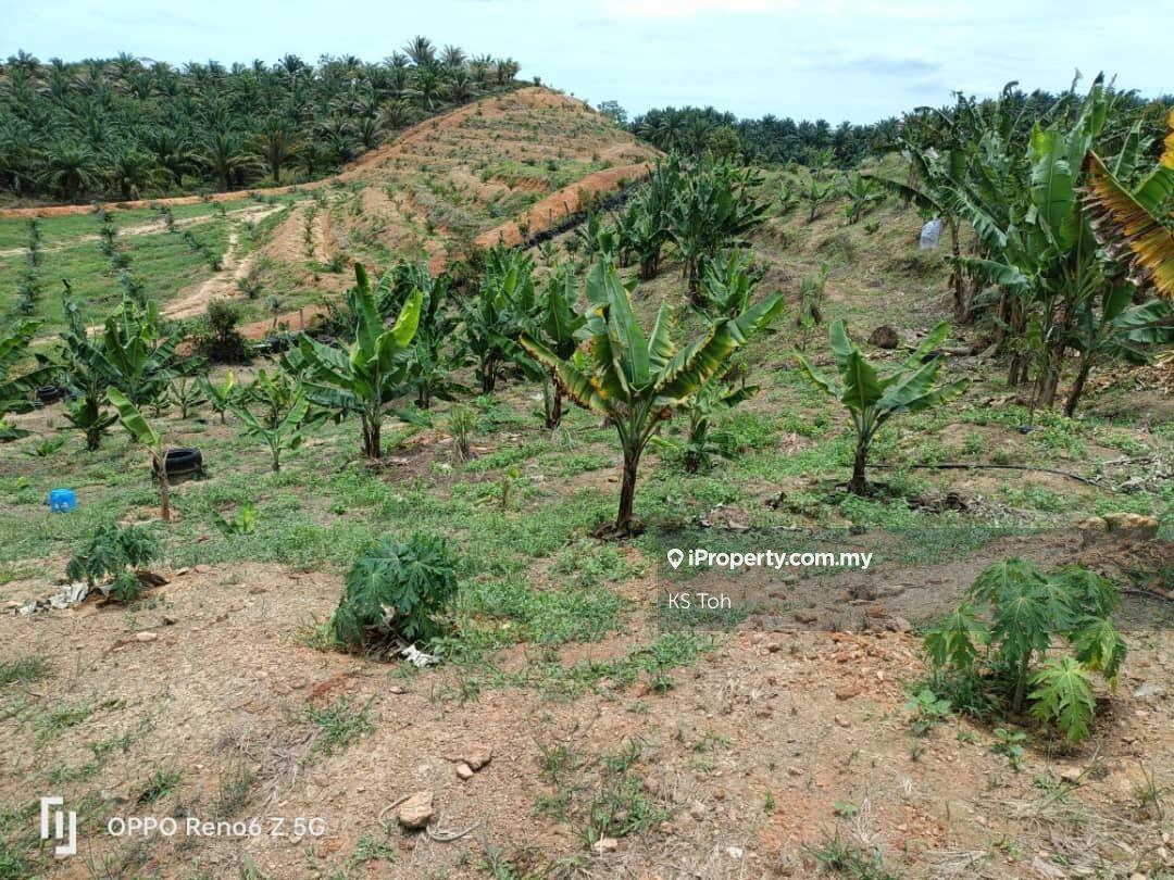 Agricultural Land for Sale in Kampung Kendong Lama, Gadong by KS Toh - iProperty.com.my