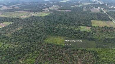 Agricultural Land for Sale in Padang Meha, Kedah by Cai Yan - iProperty.com.my
