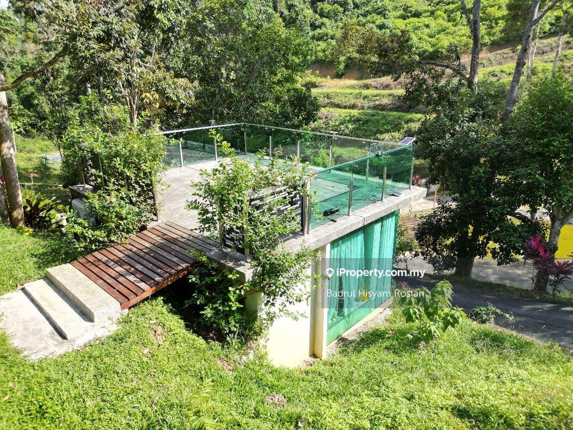 Tanah Pertanian untuk Dijual di Taman Jelebu, Kuala Klawang oleh Badrul Hisyam Roslan - iProperty.com.my