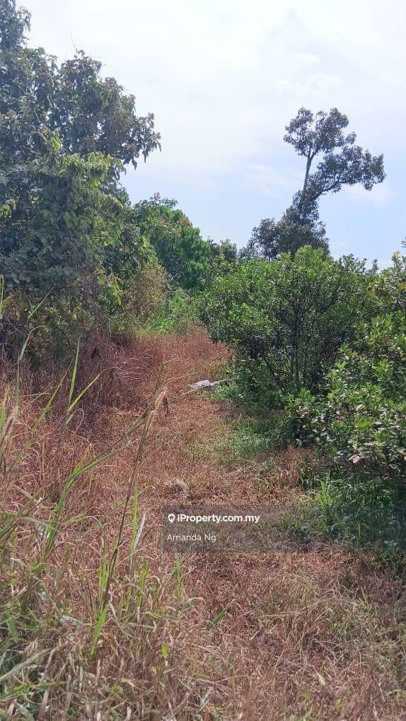Agricultural Land for Sale in Antara Gapi, Ulu Yam by Amanda Ng - iProperty.com.my