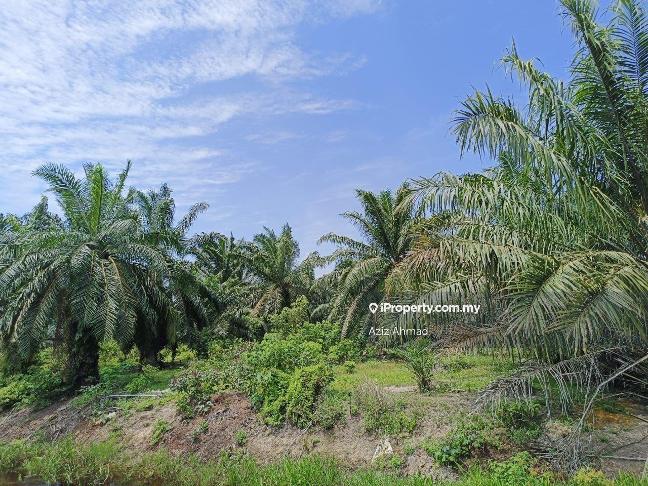 Tanah Pertanian untuk Dijual di Tanjung Sepat, Sepang oleh Aziz Ahmad - iProperty.com.my