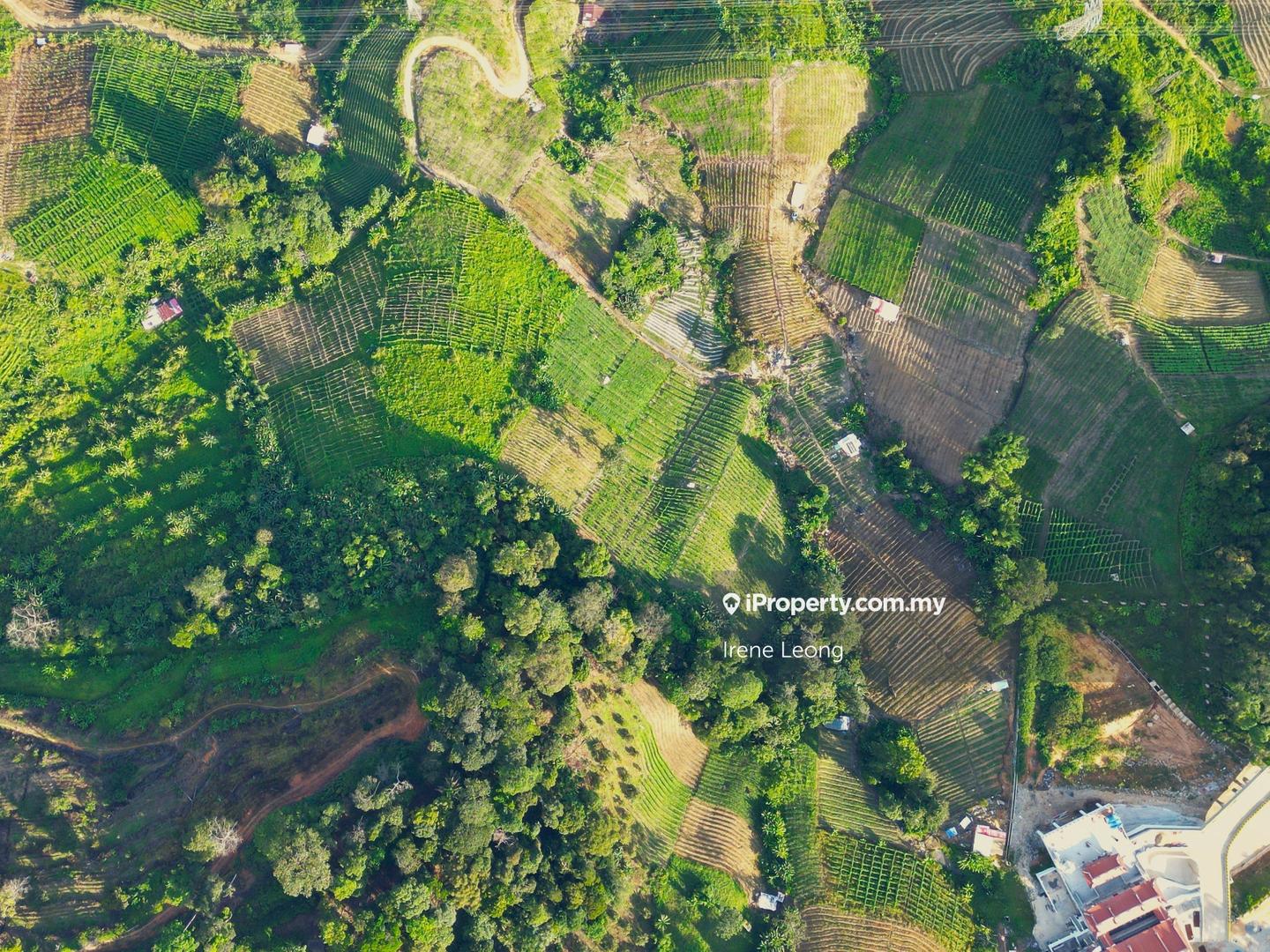 Agricultural Land for Sale in Genting Highlands, Bentong by Irene Leong - iProperty.com.my