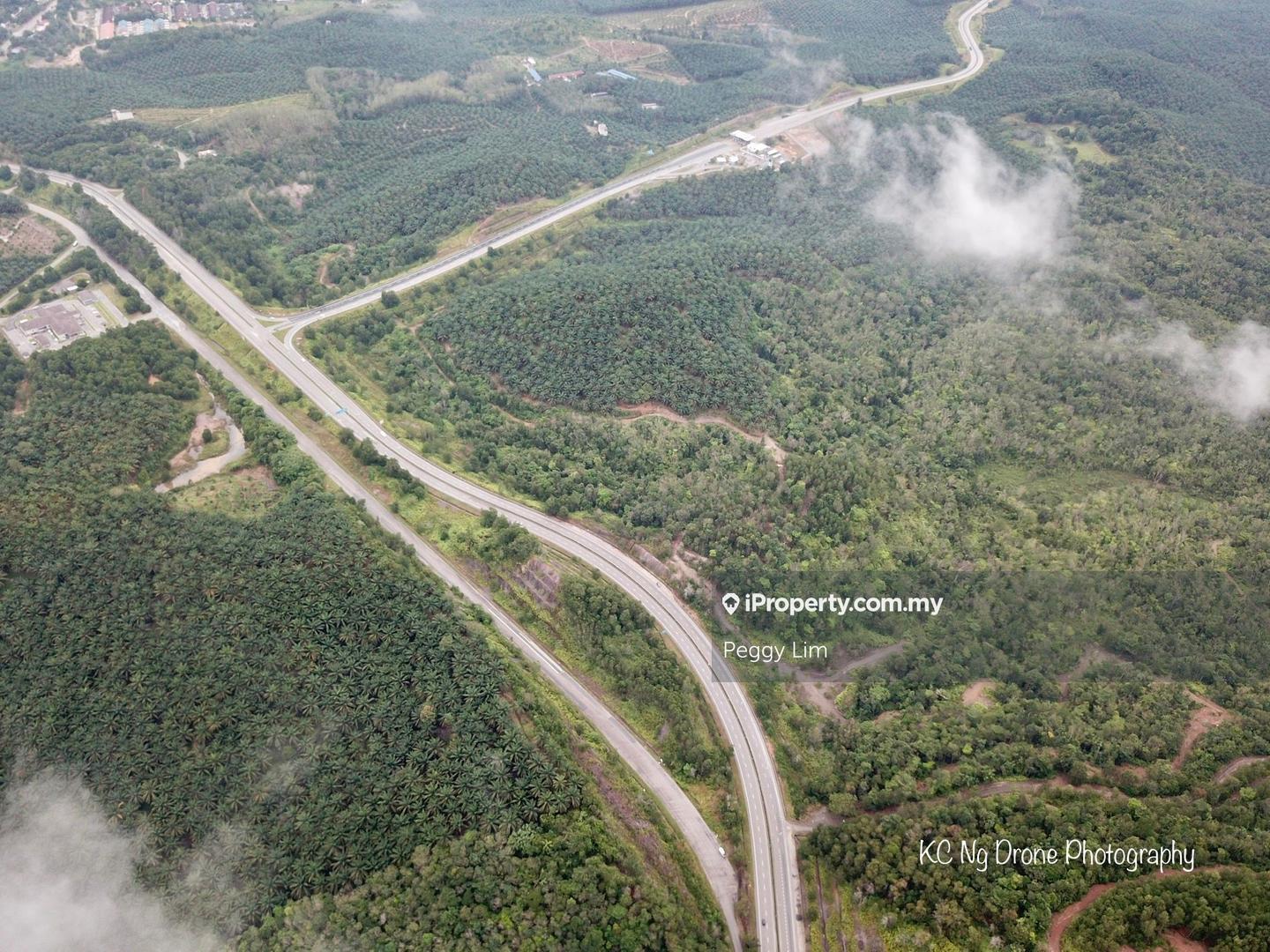 Agricultural Land for Sale in Sri Jaya, Maran by Peggy Lim - iProperty.com.my