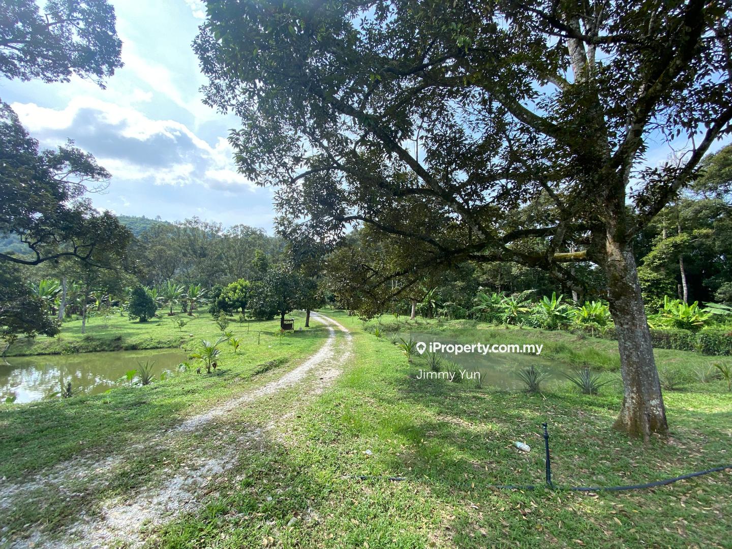 Agricultural Land for Sale in Broga agriculture land, Beranang by Jimmy Yun - iProperty.com.my