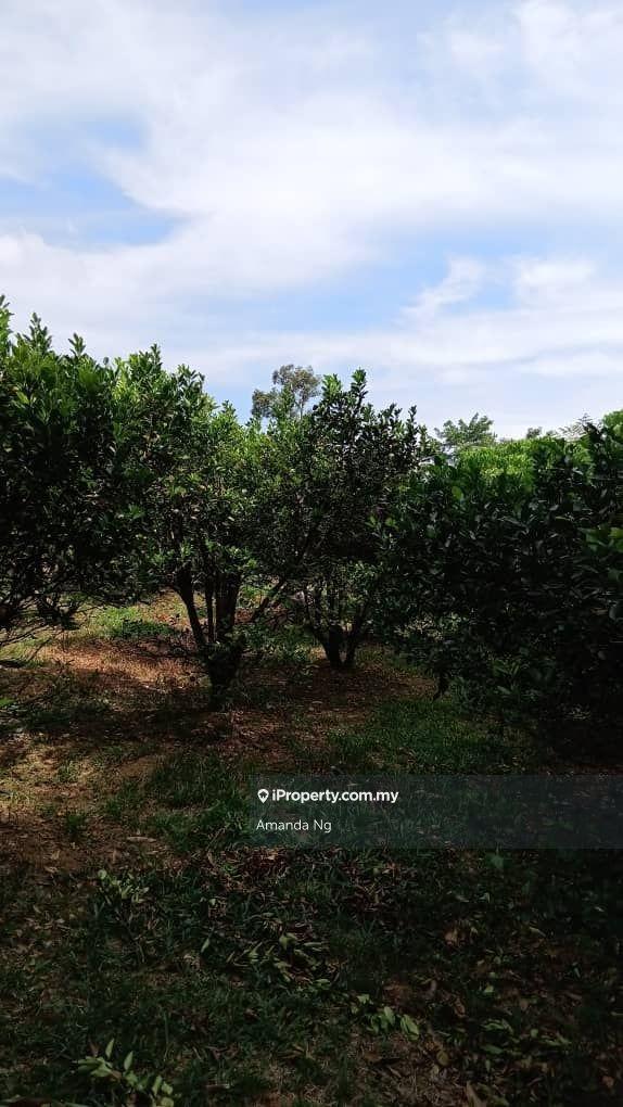 Agricultural Land for Sale in Antara Gapi, Ulu Yam by Amanda Ng - iProperty.com.my