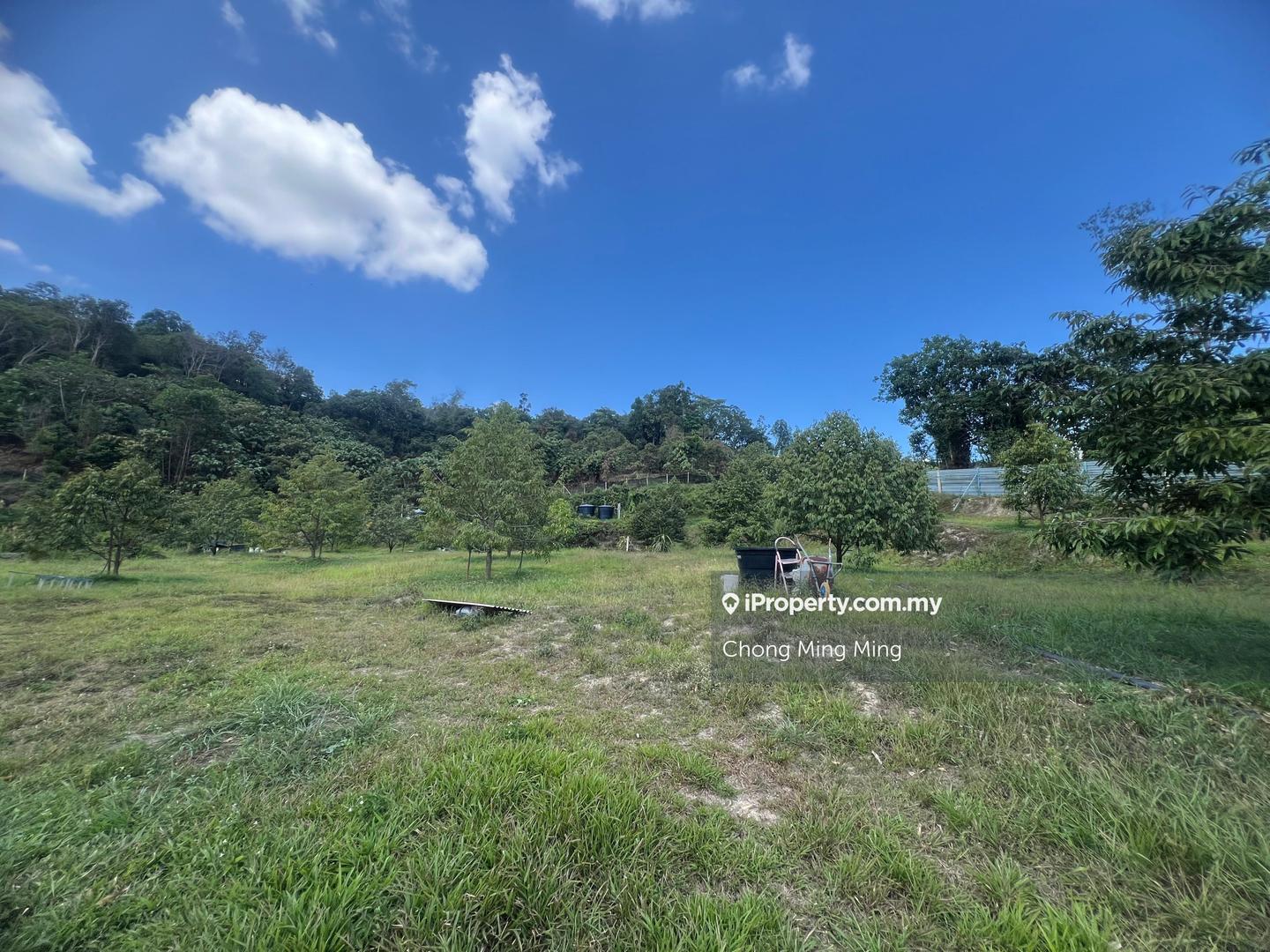 Tanah Pertanian untuk Dijual di Kampung Pantai, Pantai oleh Chong Ming Ming - iProperty.com.my