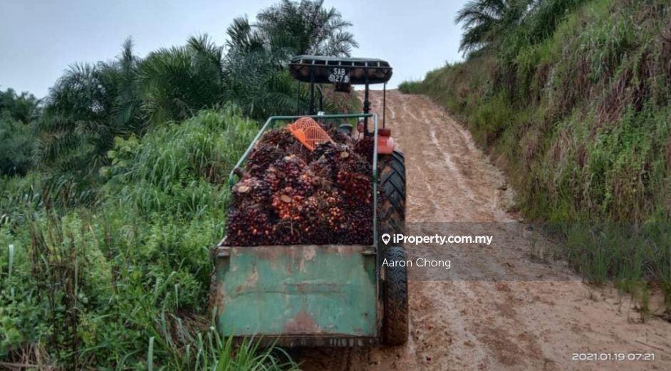 Tanah Pertanian untuk Dijual di Ranau, Sabah oleh Aaron Chong - iProperty.com.my