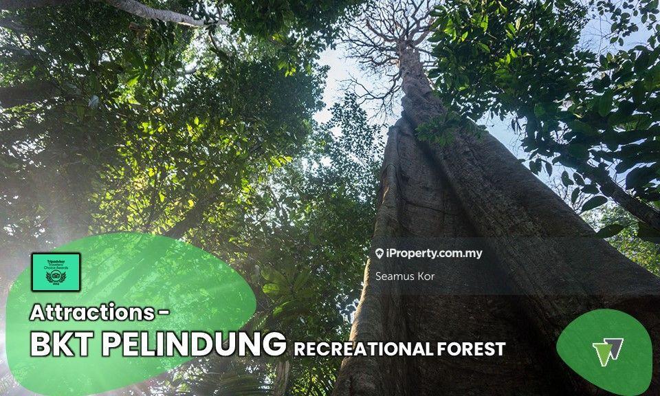 Hotel / Resort for Sale in Kuantan, Pahang by Seamus Kor - iProperty.com.my