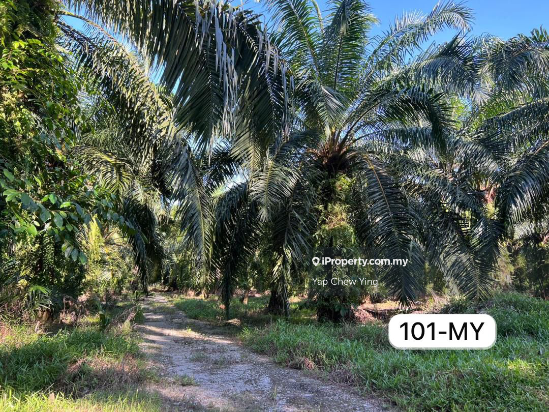 Agricultural Land for Sale in Tanjong Sepat, Sepang, Sepang by Yap Chew Ying - iProperty.com.my