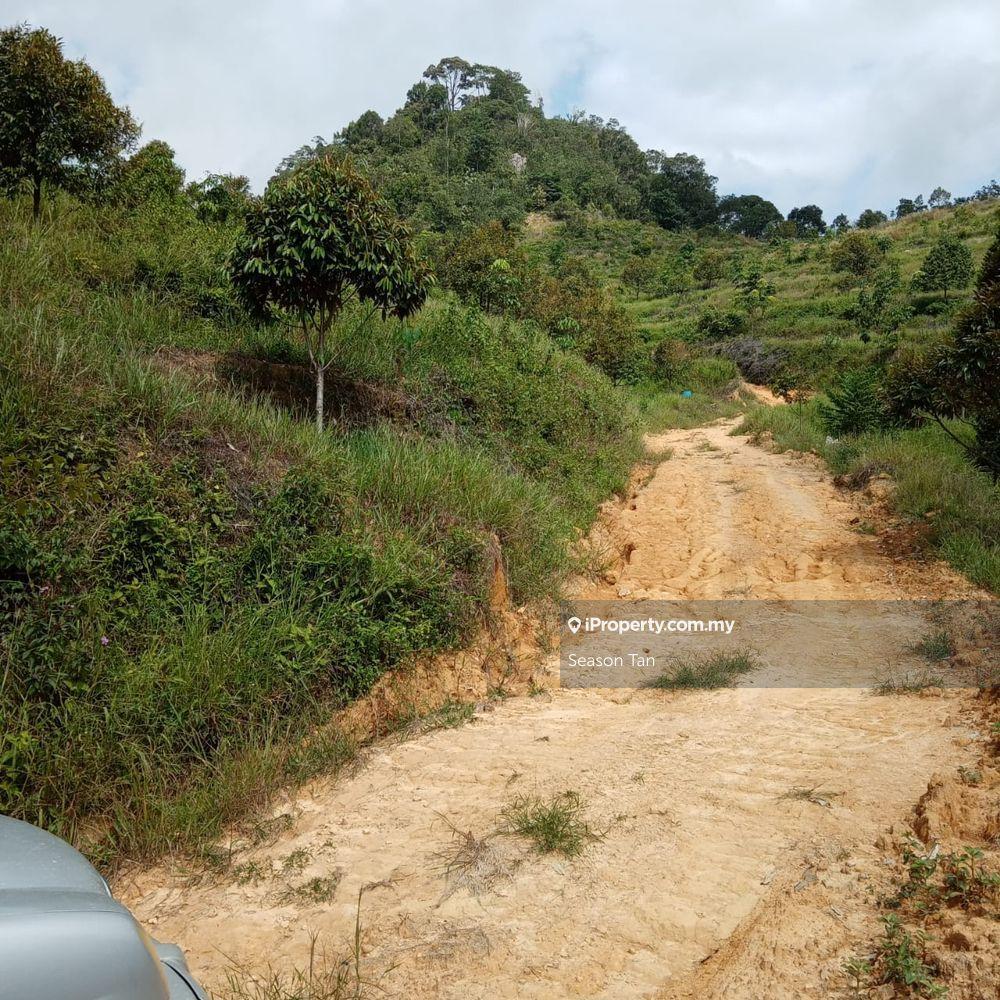 Agricultural Land for Sale in Bentong, Bentong by Season Tan - iProperty.com.my