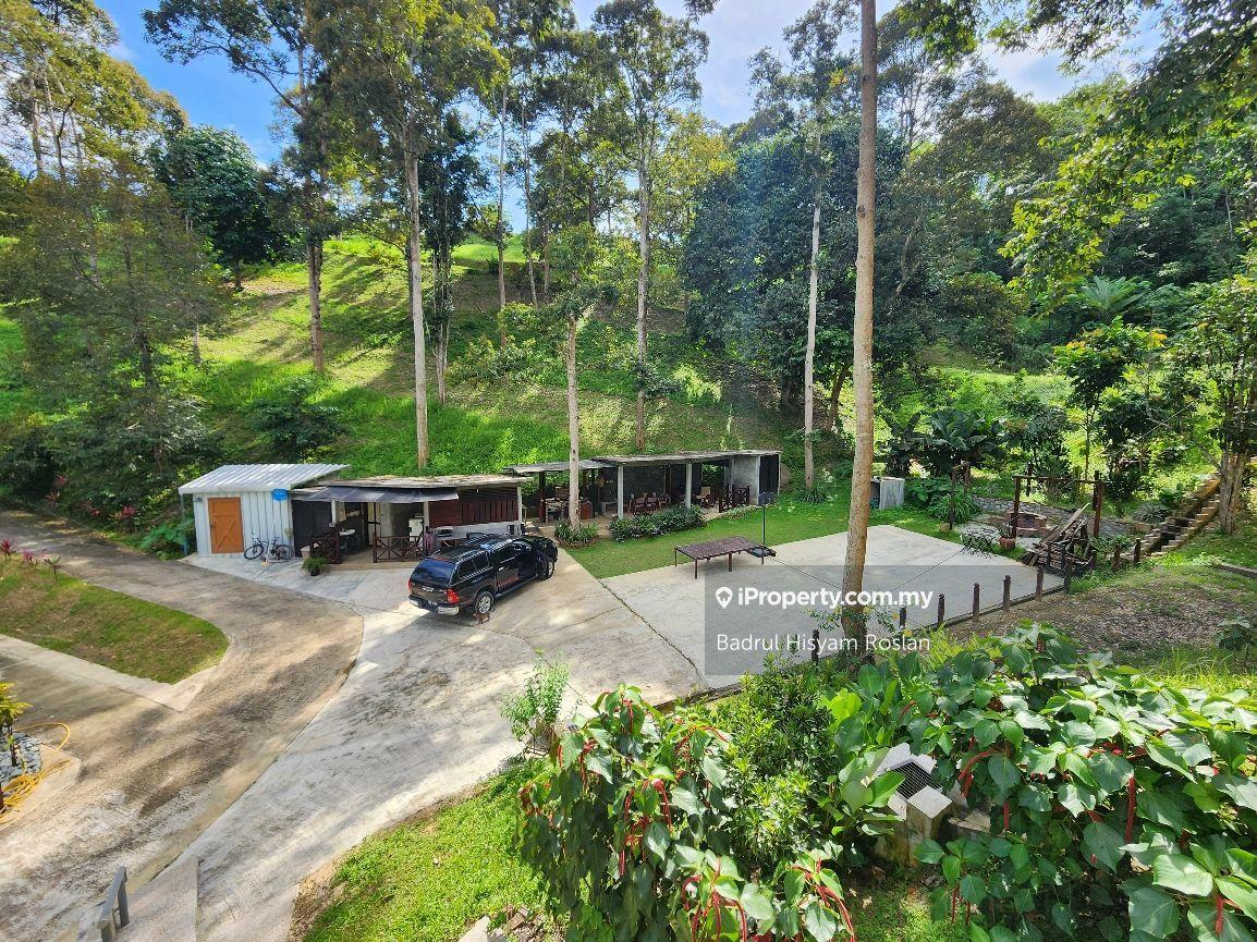 Tanah Pertanian untuk Dijual di Taman Jelebu, Kuala Klawang oleh Badrul Hisyam Roslan - iProperty.com.my