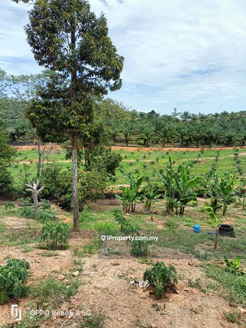 Agricultural Land for Sale in Kampung Kendong Lama, Gadong by KS Toh - iProperty.com.my