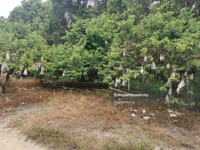 Agricultural Land for Sale in Mantin Pajam Nilai Seremban Agriculture Land WTS, Seremban by Steven Wong - iProperty.com.my