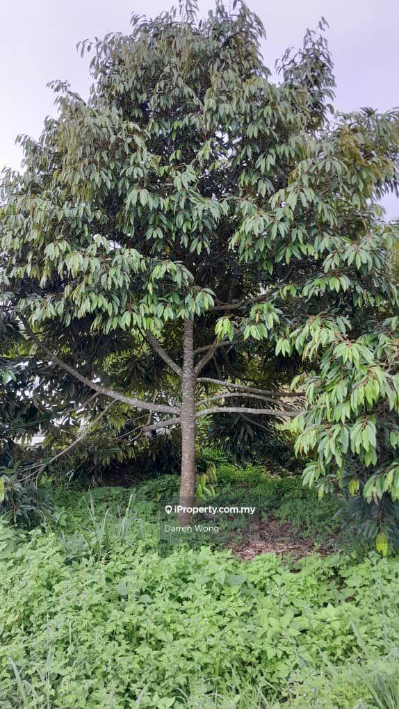 Tanah Pertanian untuk Dijual di Kampung Semerbok, Semerbok oleh Darren Wong - iProperty.com.my