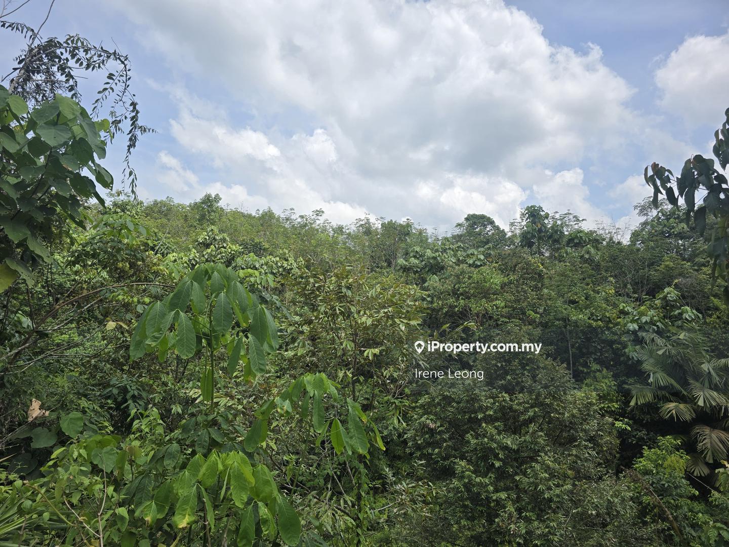 Agricultural Land for Sale in Karak, Pahang by Irene Leong - iProperty.com.my