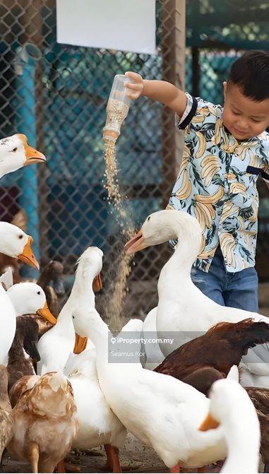 Hotel / Resort untuk Dijual di Karak, Pahang oleh Seamus Kor - iProperty.com.my