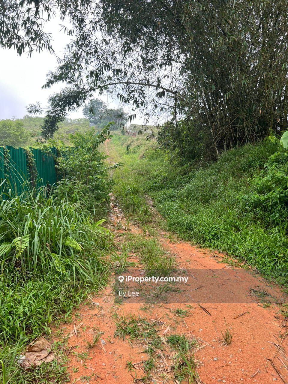 Tanah Pertanian untuk Disewa di Seelong, Senai oleh By Lee - iProperty.com.my