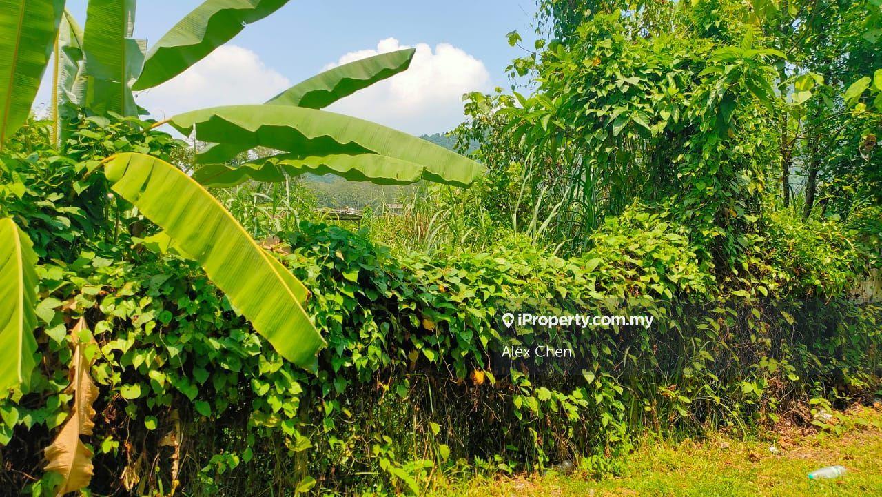 Agricultural Land for Sale in Broga, Lenggeng by Alex Chen - iProperty.com.my