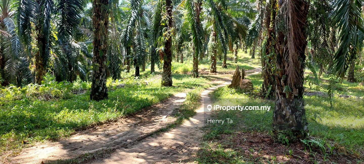 Tanah Perindustrian untuk Dijual di Hulu Semenyih, Semenyih oleh Henry Ta - iProperty.com.my