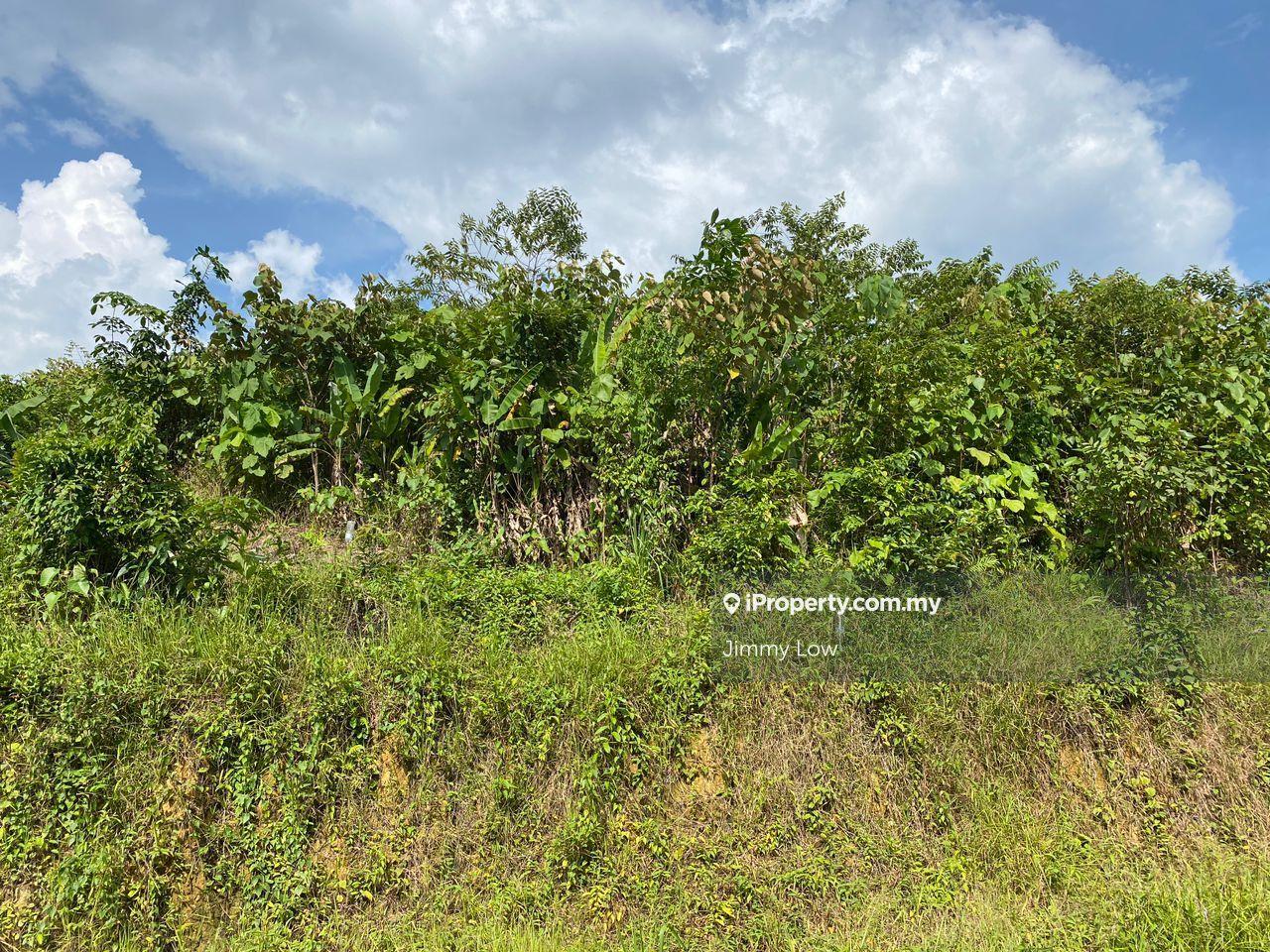 Agricultural Land for Sale in Karak, Pahang by Jimmy Low - iProperty.com.my