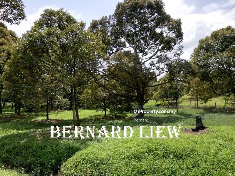 Agricultural Land for Sale in Gurun, Kedah by Bernard - iProperty.com.my