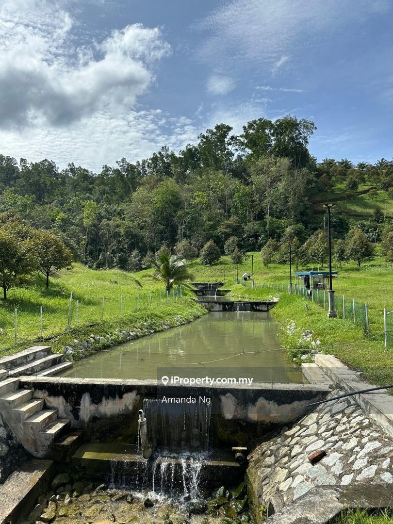 Agricultural Land for Sale in Serendah, Rawang by Amanda Ng - iProperty.com.my
