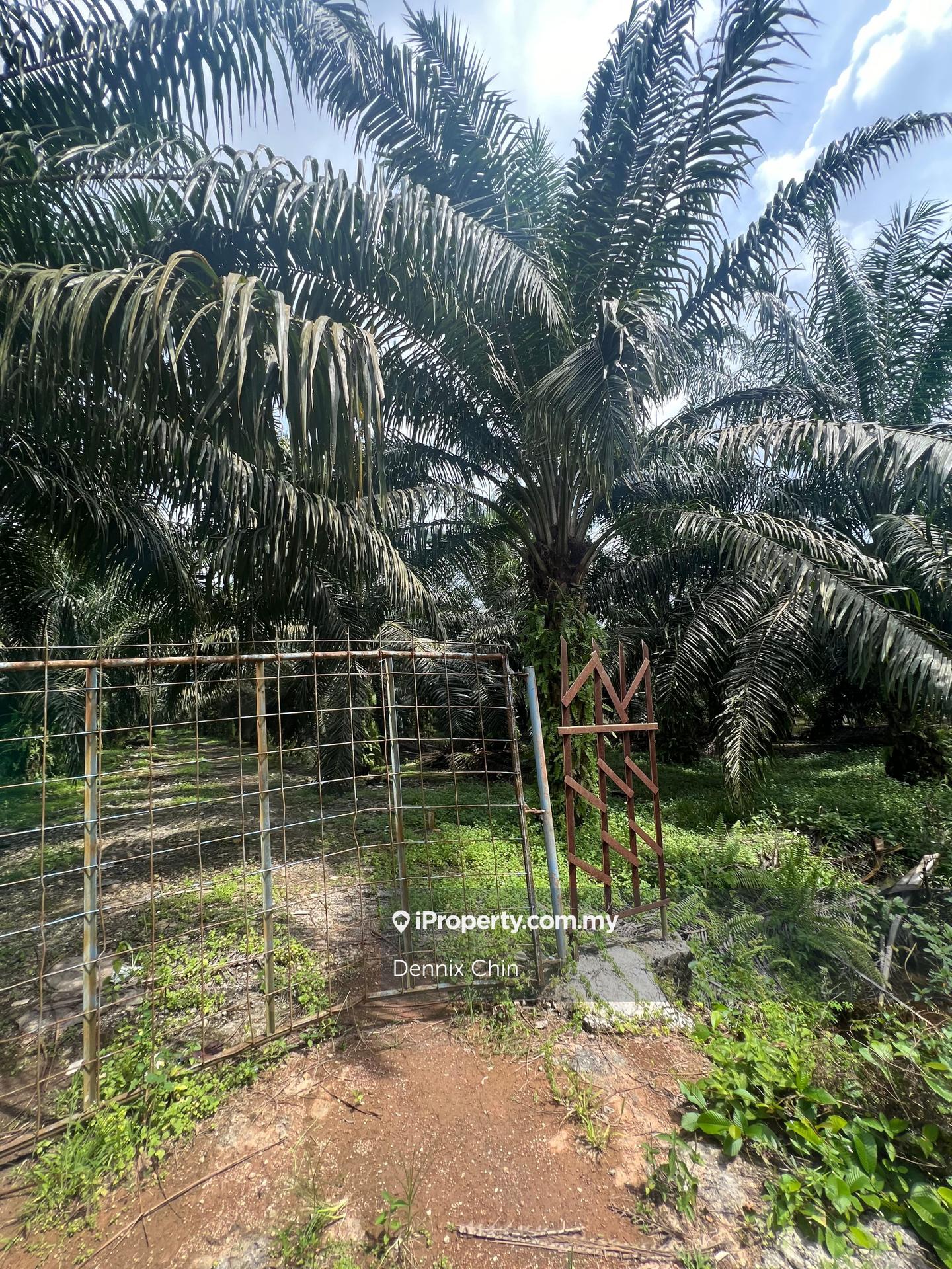 Agricultural Land for Sale in Jeram, Kuala Selangor by Dennix Chin - iProperty.com.my