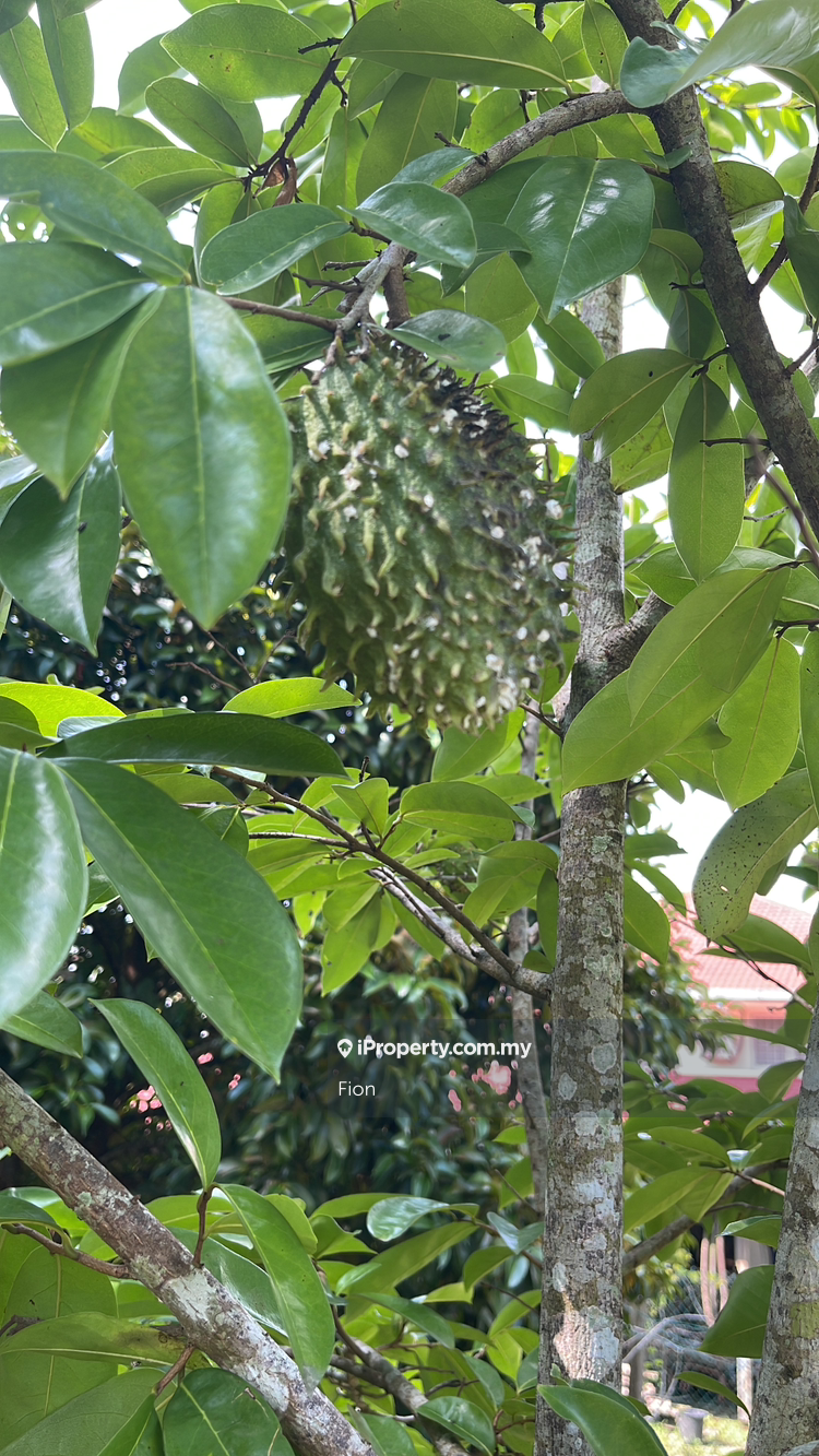 Banglo untuk Dijual di Bandar Tiram, Ulu Tiram oleh Fion - iProperty.com.my