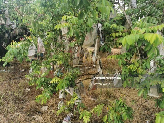 Agricultural Land for Sale in Mantin Pajam Nilai Seremban Agriculture Land WTS, Seremban by Steven Wong - iProperty.com.my
