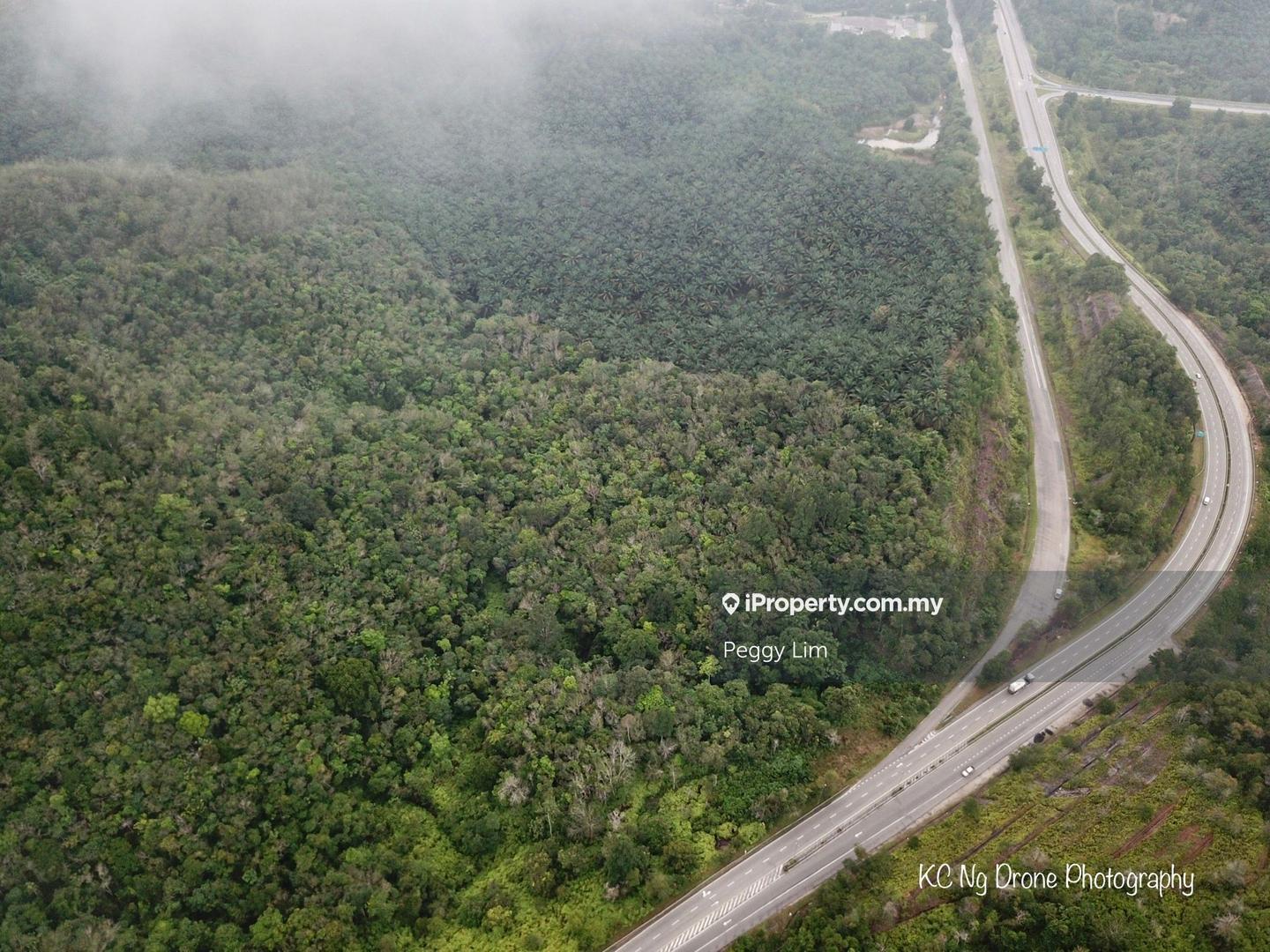 Agricultural Land for Sale in Sri Jaya, Maran by Peggy Lim - iProperty.com.my