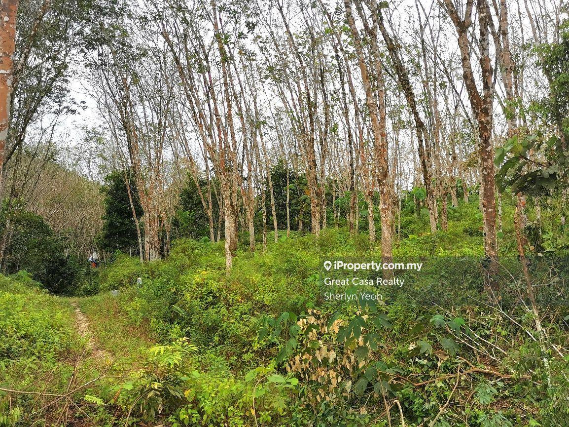 Tanah Pertanian untuk Dijual di Slim River, Perak oleh Sherlyn Yeoh - iProperty.com.my