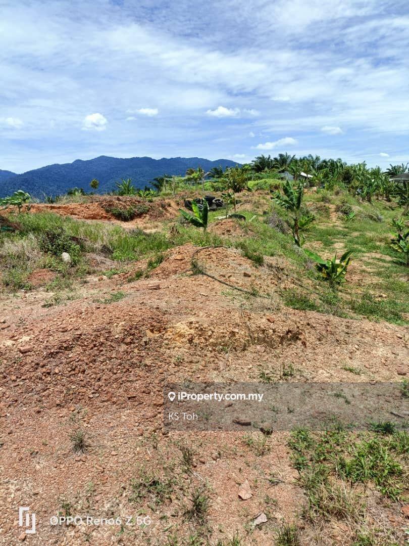 Agricultural Land for Sale in Kampung Kendong Lama, Gadong by KS Toh - iProperty.com.my