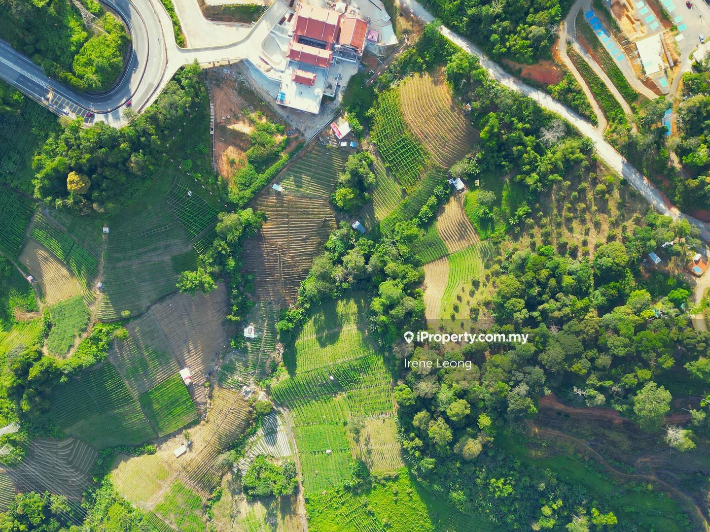 Agricultural Land for Sale in Genting Highlands, Bentong by Irene Leong - iProperty.com.my