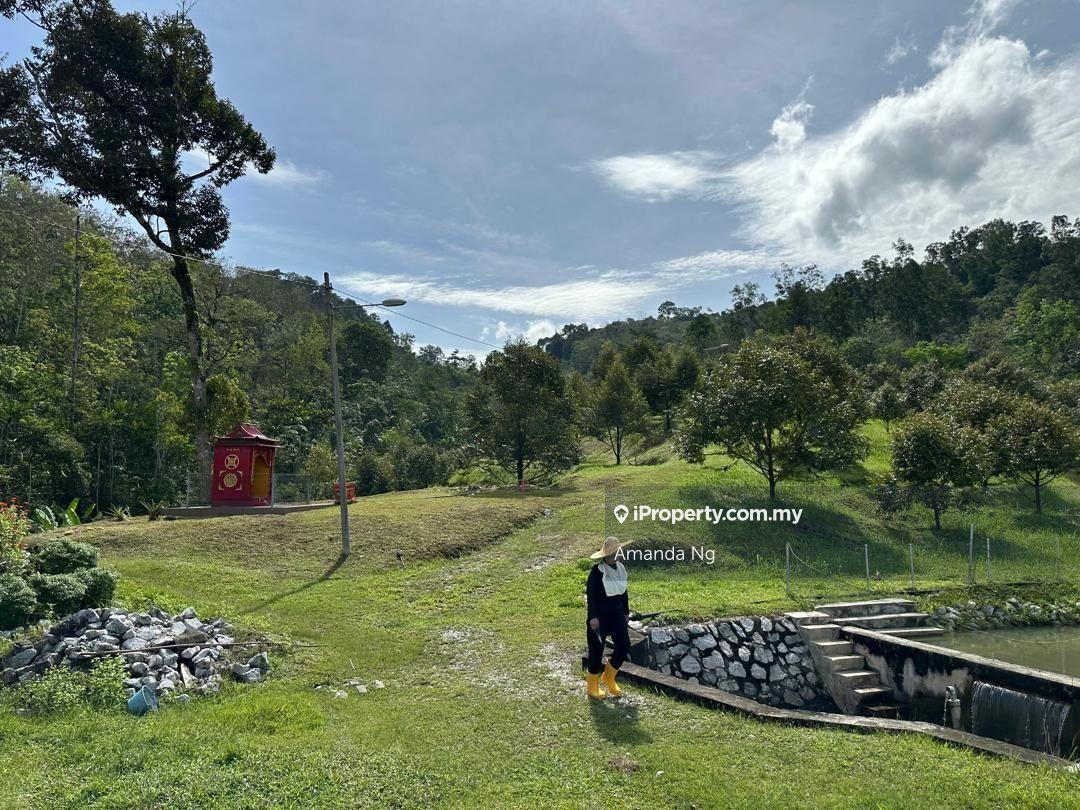 Agricultural Land for Sale in Serendah, Rawang by Amanda Ng - iProperty.com.my