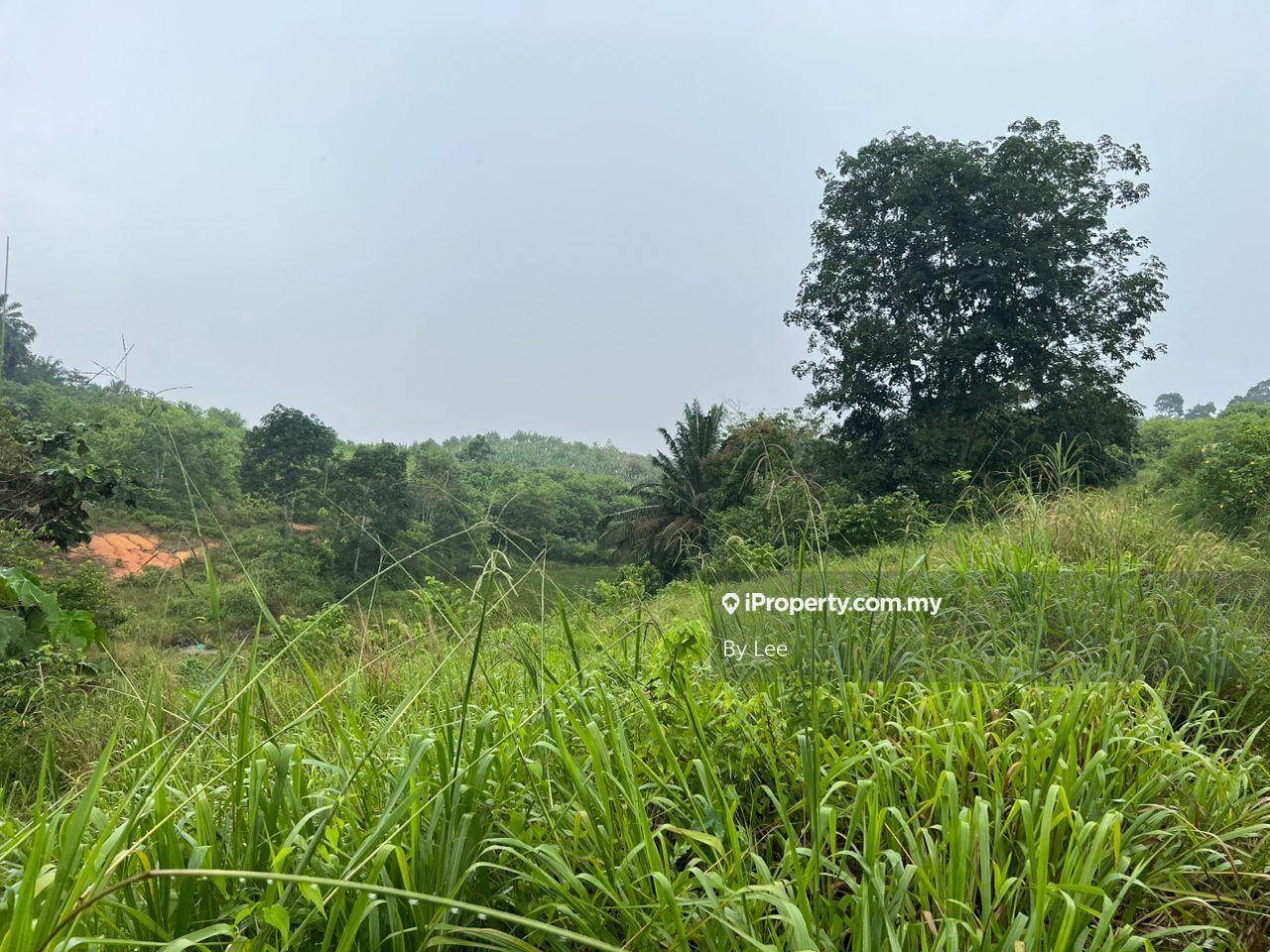 Tanah Pertanian untuk Disewa di Seelong, Senai oleh By Lee - iProperty.com.my