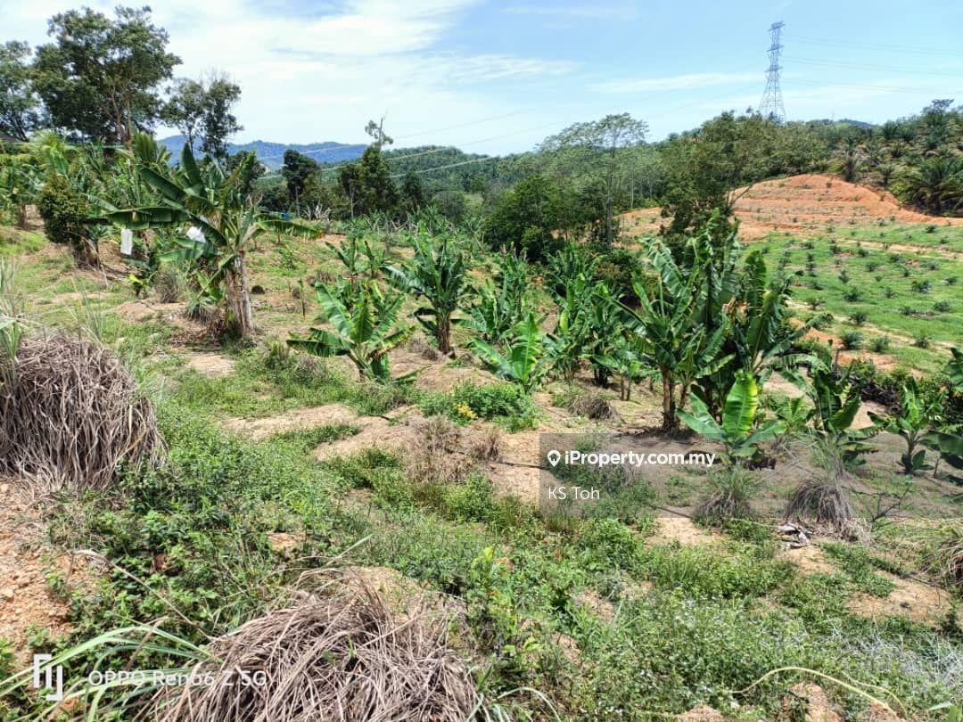 Agricultural Land for Sale in Kampung Kendong Lama, Gadong by KS Toh - iProperty.com.my