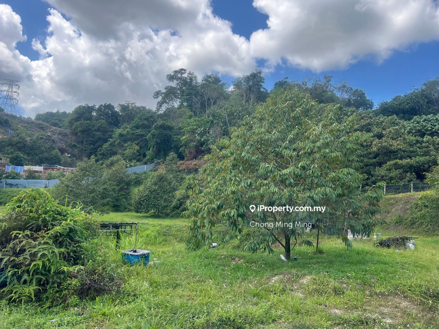 Tanah Pertanian untuk Dijual di Kampung Pantai, Pantai oleh Chong Ming Ming - iProperty.com.my