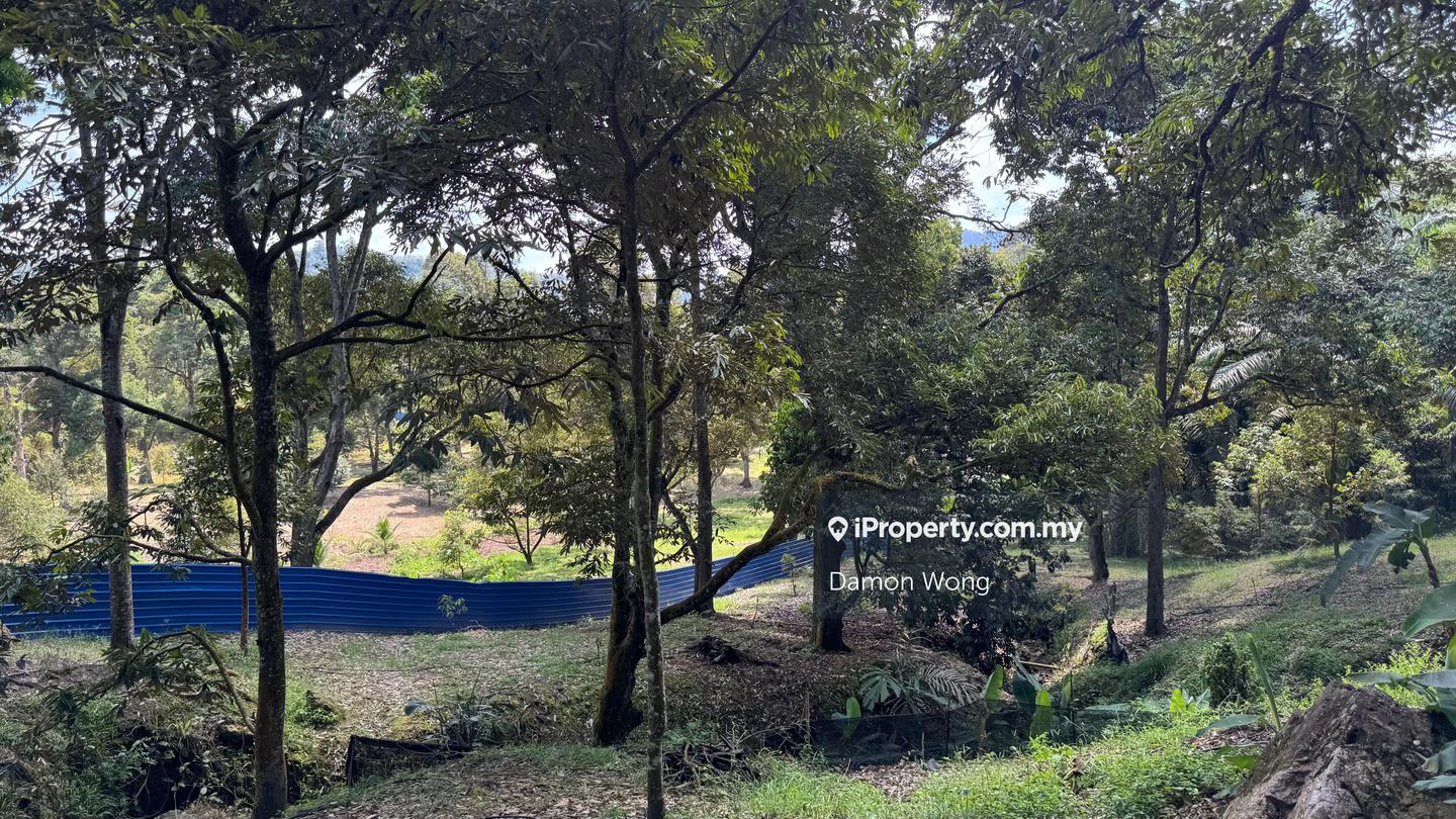 Tanah Pertanian untuk Dijual di Cheroh, Raub oleh Damon Wong - iProperty.com.my