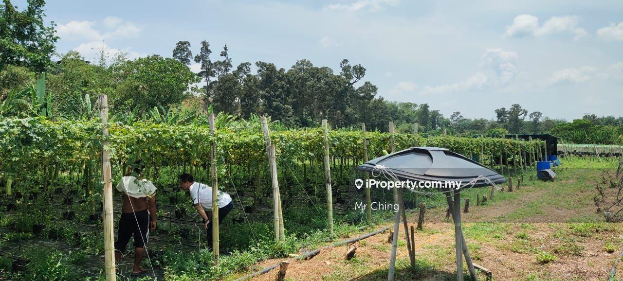 Tanah Pertanian untuk Dijual di Kampung Baru, Kerling oleh Mr Ching - iProperty.com.my