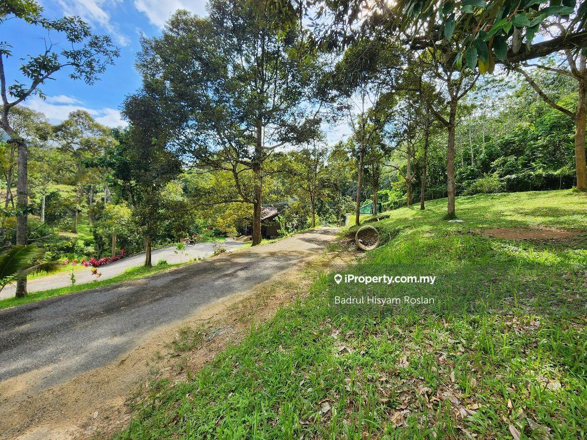 Tanah Pertanian untuk Dijual di Taman Jelebu, Kuala Klawang oleh Badrul Hisyam Roslan - iProperty.com.my