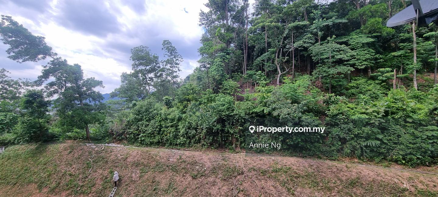 Apartment for Rent in Ixora by Annie Ng - iProperty.com.my