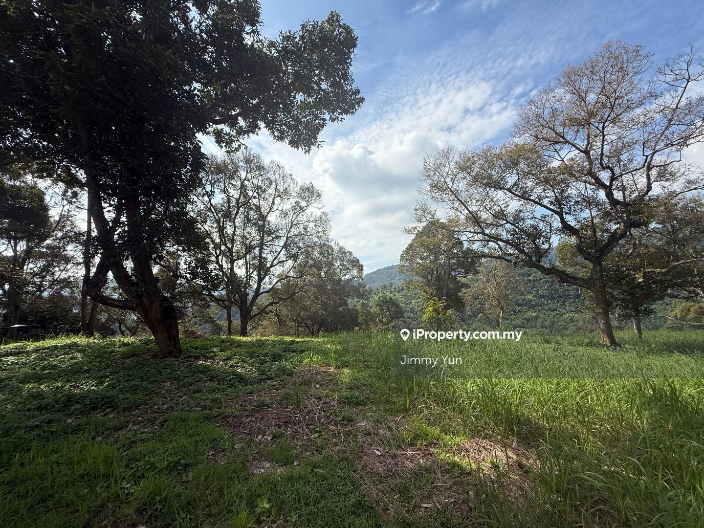 Agricultural Land for Sale in Pekan Mantin, Mantin by Jimmy Yun - iProperty.com.my