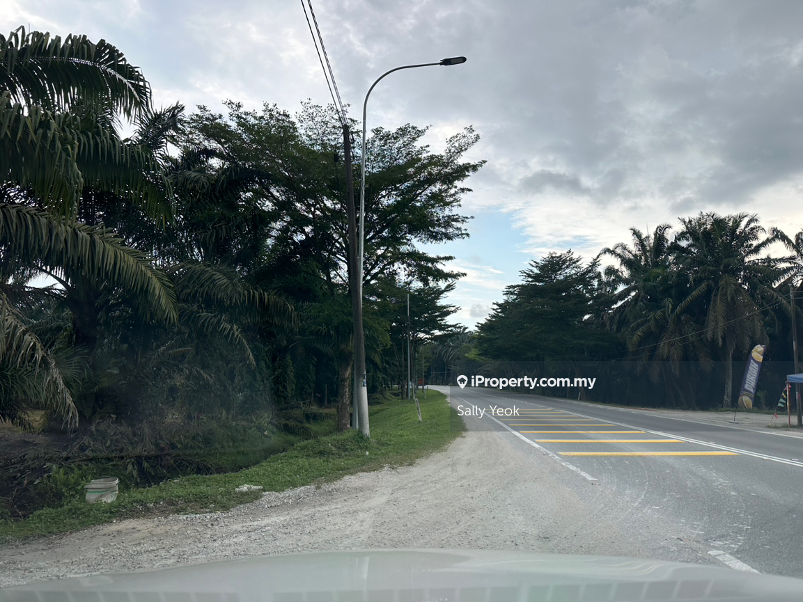 Residential Land for Sale in Pekan Nenas, Johor by Sally Yeok - iProperty.com.my