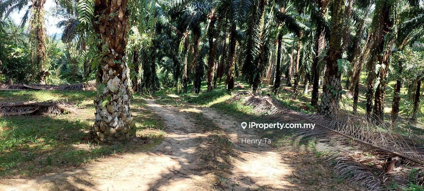 Tanah Perindustrian untuk Dijual di Hulu Semenyih, Semenyih oleh Henry Ta - iProperty.com.my