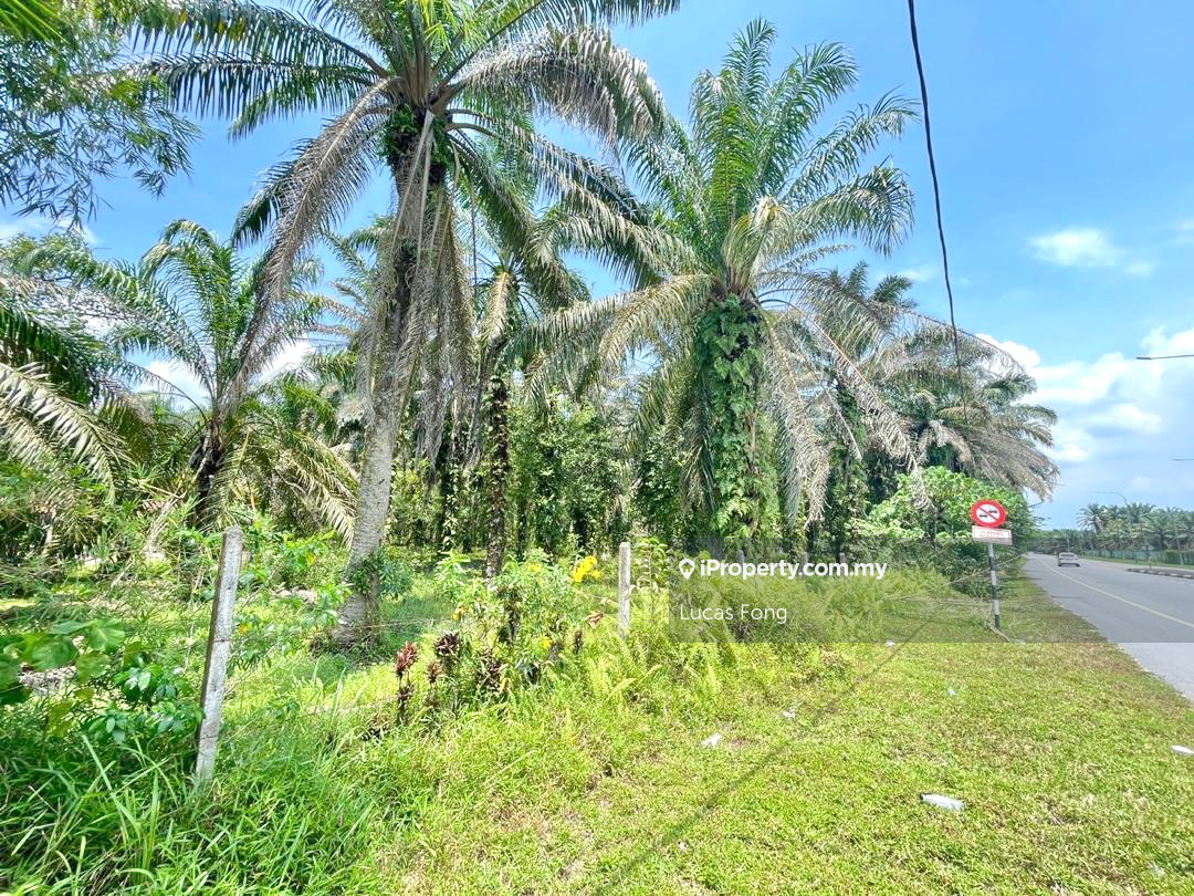 Tanah Pertanian untuk Disewa di Tapah Main Road Frontage Land, Tapah oleh Lucas Fong - iProperty.com.my